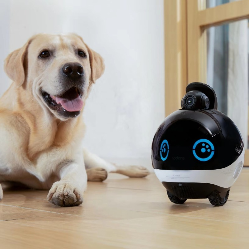 Interactive Cat Toy - Robot Familiare Intelligente con Monitoraggio HD