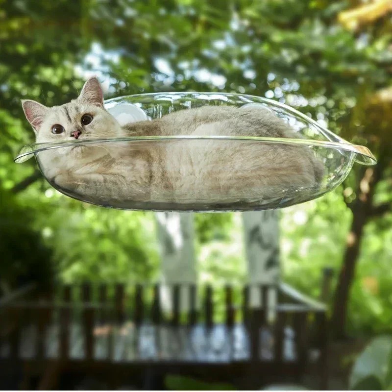 Pet Supplies Delivery - Finestra Letto per Gatti Gattini Accessori