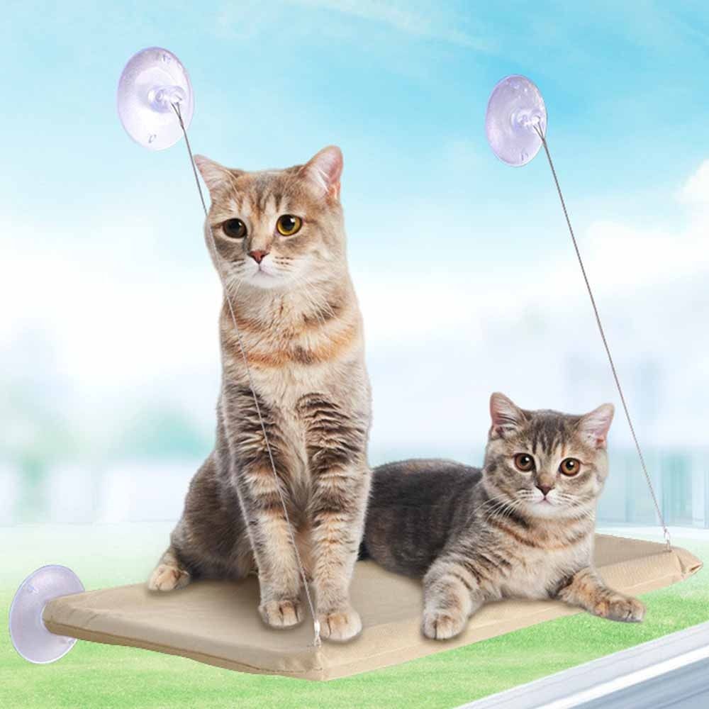 Pet Supplies Delivery - Cuccia per Gatti Creativa da Appendere,
