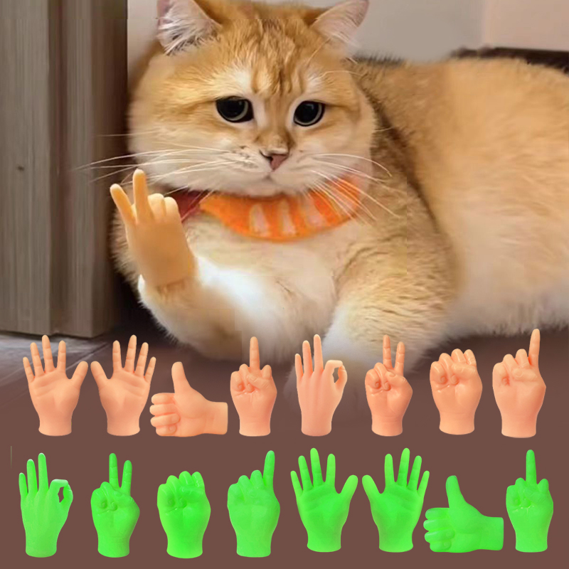 Gatto creativo interattivo ges - Interactive Cat Toy recensione e prezzo