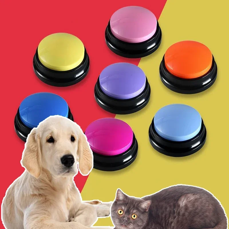 Scatola audio per animali dome - Interactive Cat Toy recensione e prezzo