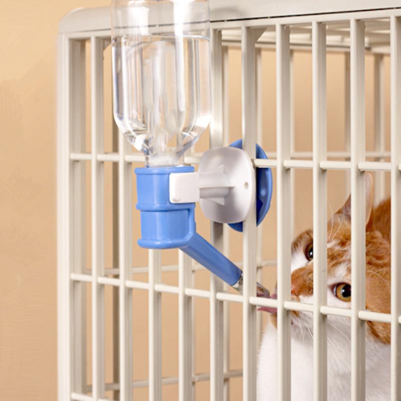Pet Dog Cat Water Dispenser ug - Cat Water Fountain Filter recensione e prezzo