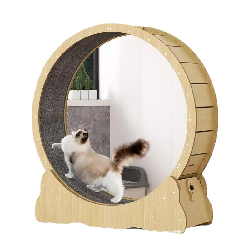 Ruota fitness per gatti giocat - Interactive Cat Toy recensione e prezzo