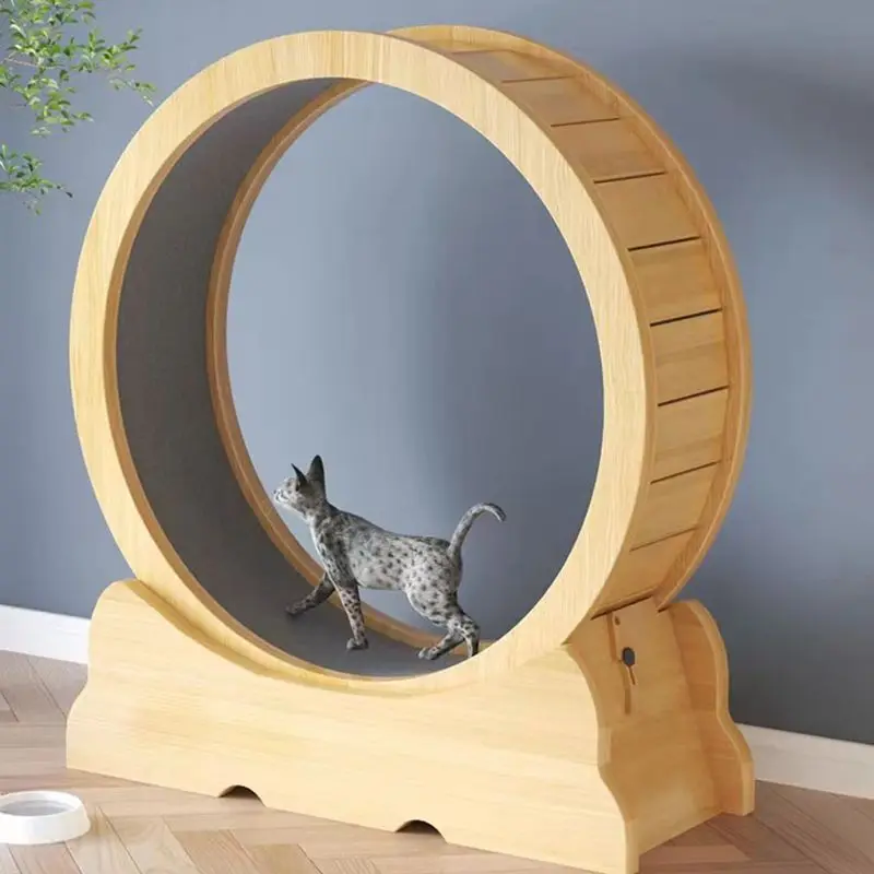 Ruota fitness per gatti giocat - Interactive Cat Toy recensione e prezzo