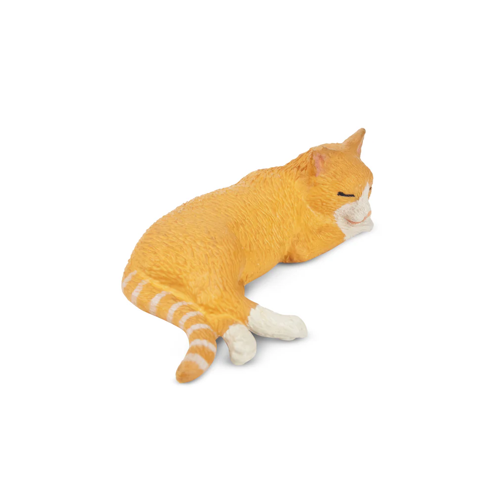 Toymany Simulazione Sdraiata G - Pet Supplies Delivery recensione e prezzo