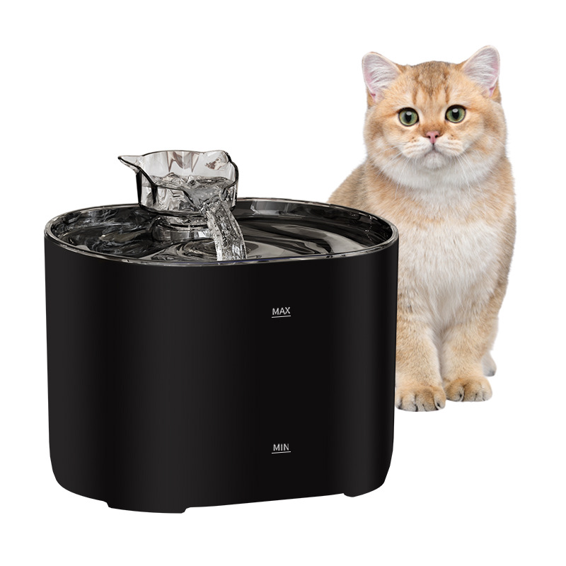 Fontanella Automatica Circolan - Cat Water Fountain Filter recensione e prezzo