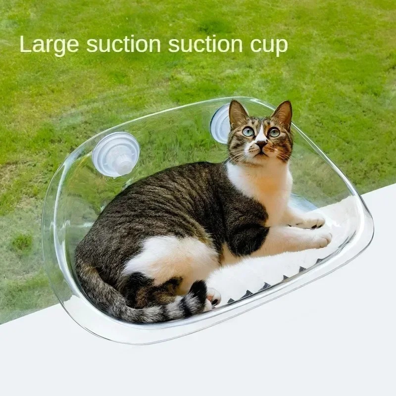 Finestra Letto per Gatti Gatti - Pet Supplies Delivery recensione e prezzo