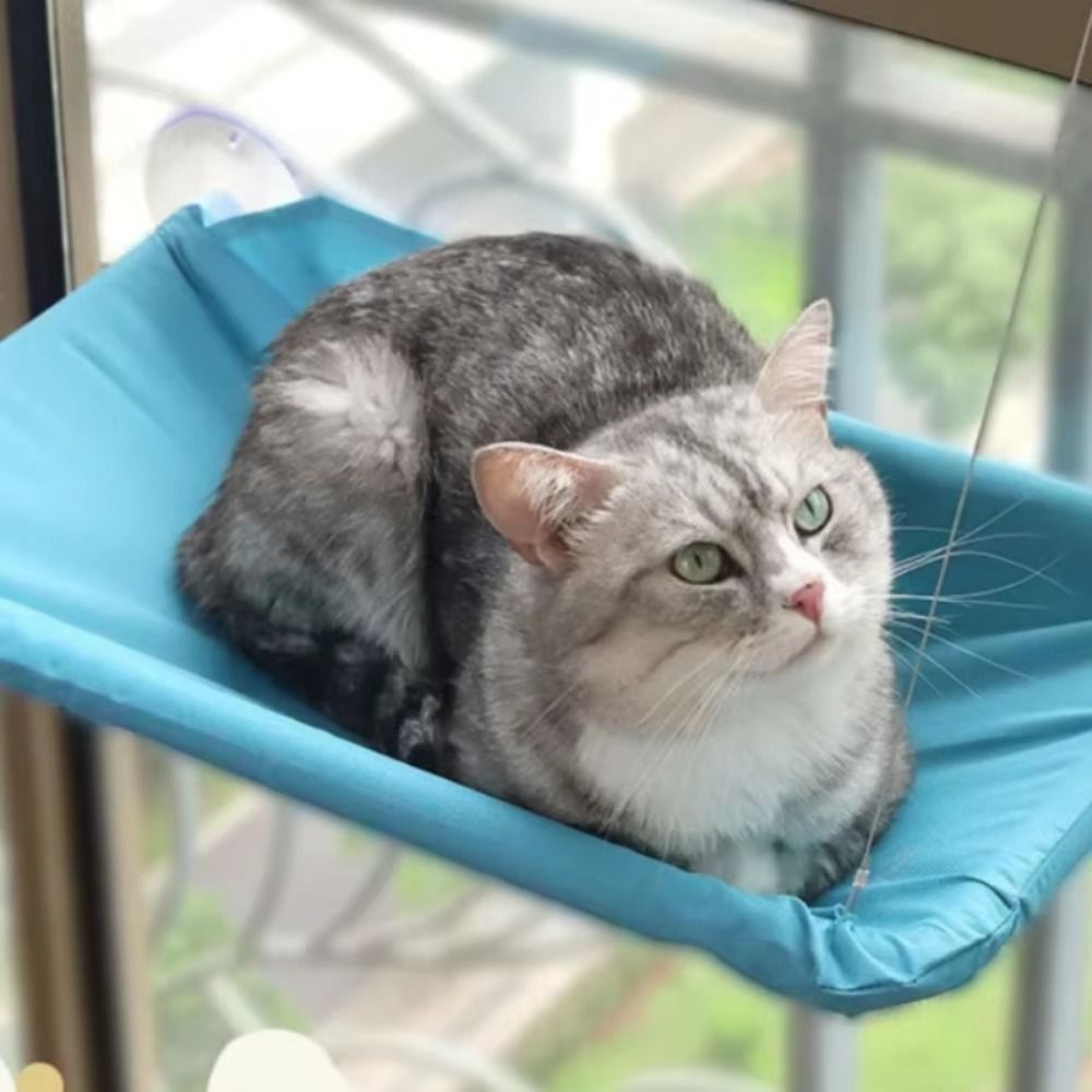 Cuccia per Gatti Creativa da A - Pet Supplies Delivery recensione e prezzo