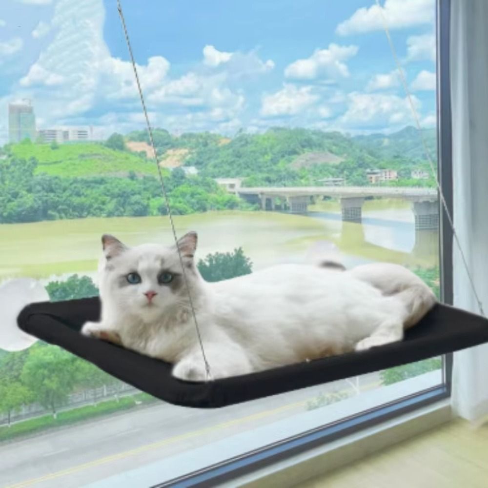Cuccia per Gatti Creativa da A - Pet Supplies Delivery recensione e prezzo